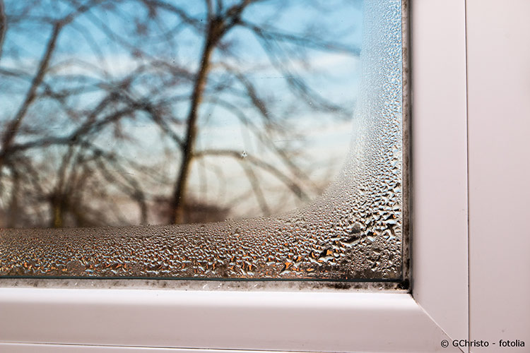Kondenswasser am Fenster entfernen